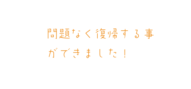 問題なく復帰する事ができました!